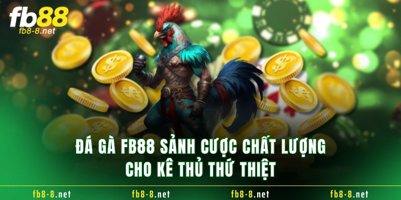 Đá gà FB88 sảnh cược chất lượng cho kê thủ thứ thiệt